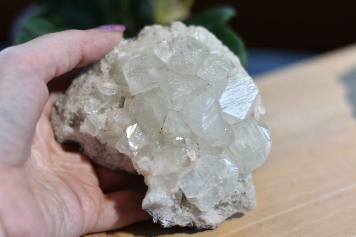 Apophyllite Cluster